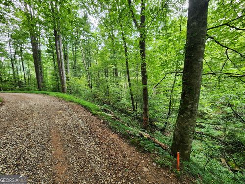 TRACT 2B Poplar Cove Rd, Suches, GA, 30572 | Card Image