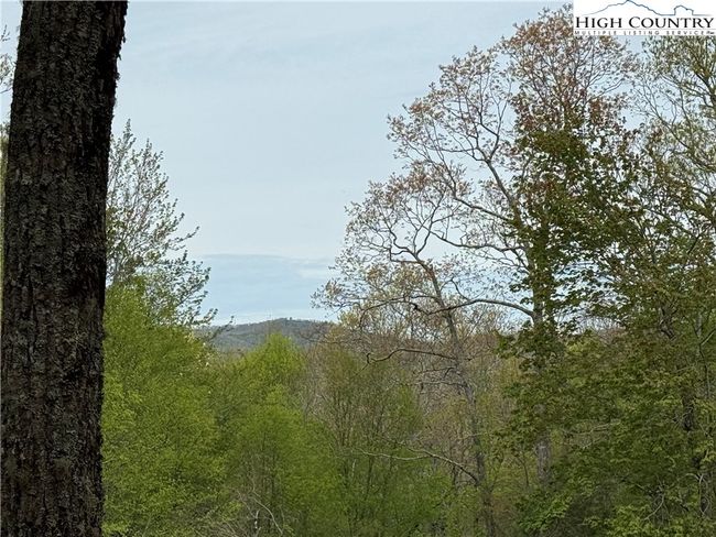 287 Cougar Run, Home with 0 bedrooms, 0 bathrooms and null parking in Linville NC | Image 8