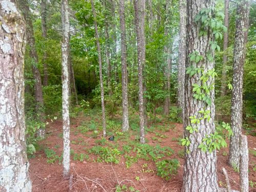 0 Happy Trails Ln, Dunn, NC, 28334 | Card Image