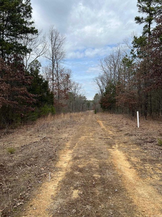 00 Yates Ln, Home with 0 bedrooms, 0 bathrooms and null parking in Tumbling Shoals AR | Image 13