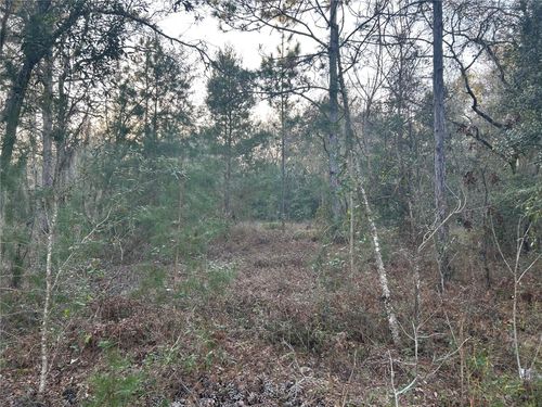 TBD Ne 123rd Ter, WILLISTON, FL, 32696 | Card Image