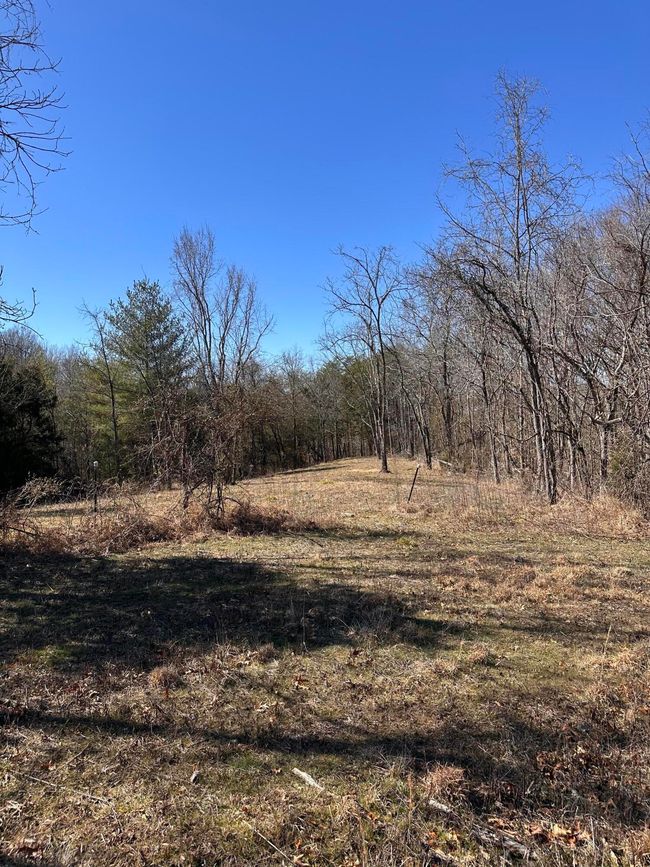 265 - 24265 S Mohawk Rd, Home with 0 bedrooms, 0 bathrooms and null parking in Mohawk TN | Image 36