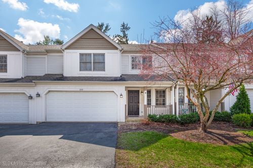 229 Spring Point Dr, Carpentersville, IL, 60110-2834 | Card Image