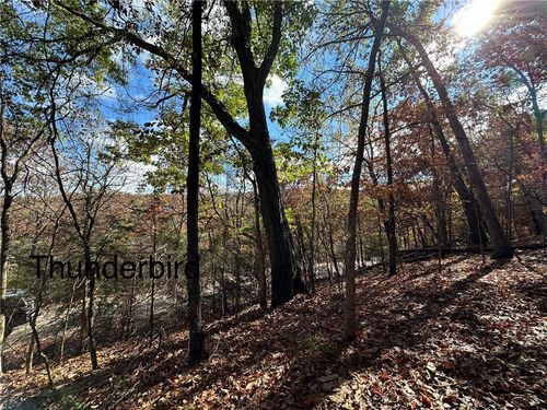 13 Thunderbird Dr, Holiday Island, AR, 72631-5100 | Card Image