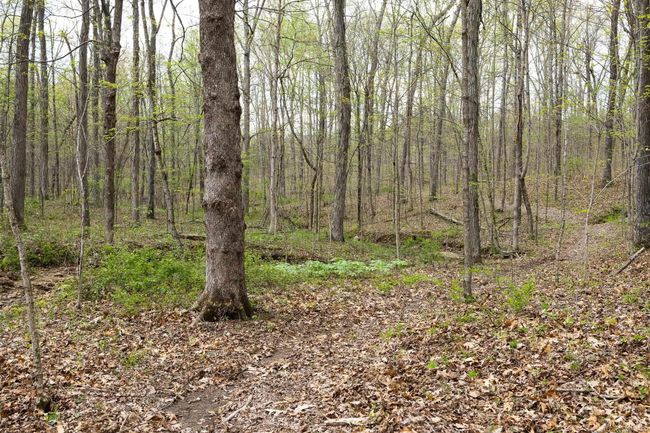 12.6 Acres Deer Lake Drive, Home with 0 bedrooms, 0 bathrooms and null parking in Bloomfield IN | Image 10
