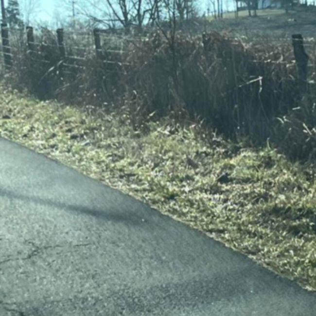 860 Mcafee Ln, Home with 0 bedrooms, 0 bathrooms and null parking in Salvisa KY | Image 24