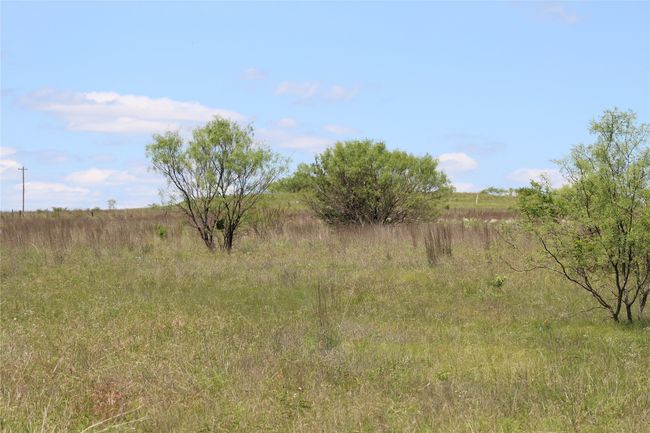 View of nature featuring rural landscape | Image 12