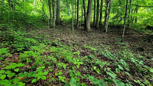 Lot 18 Elk Creek Mountain Parkway, Todd, NC, 28684 | Card Image