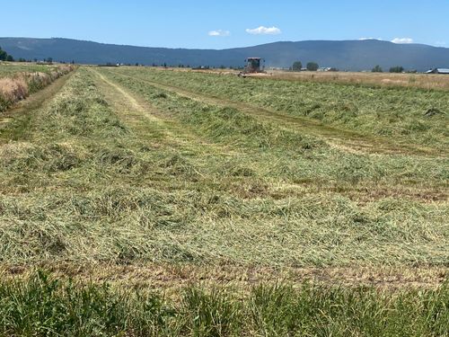 553185 Punkin Center Rd, Bieber, CA, 96009 | Card Image