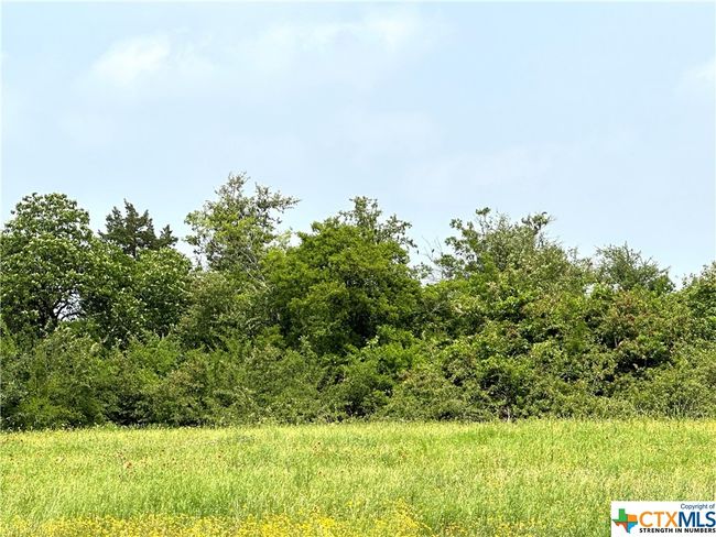 11 Tower Drive, Home with 0 bedrooms, 0 bathrooms and null parking in Moody TX | Image 17