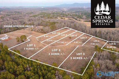Lot 2 Cedar Springs Dr, Jacksonville, AL, 36265-6001 | Card Image