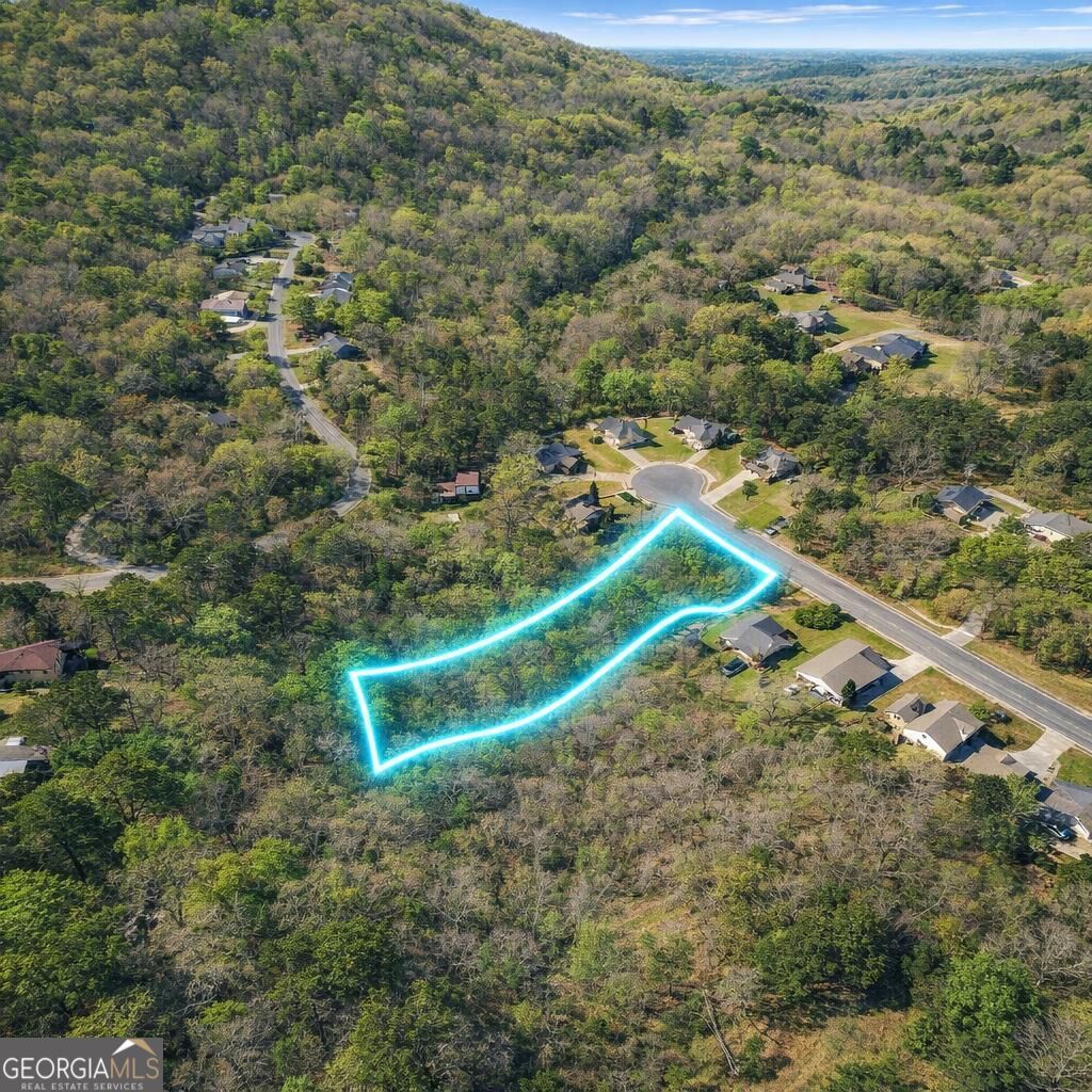 Land in Flowery Branch 2