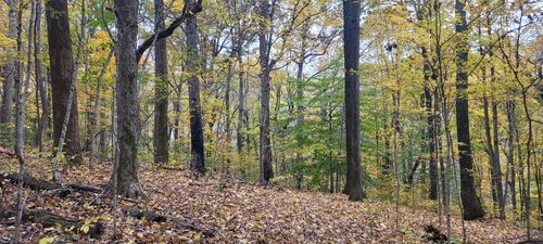 1 Sugar Ridge Rd, Spring Hill, TN, 37174 | Card Image