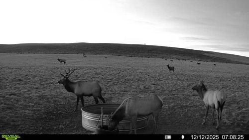 TBD County Road 19, Maybell, CO, 81640 | Card Image