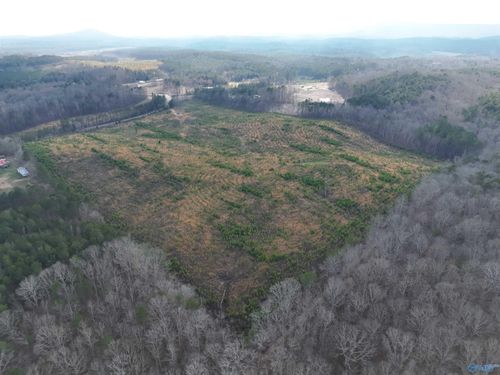 57 AC County Road 921, Gaylesville, AL, 35973 | Card Image