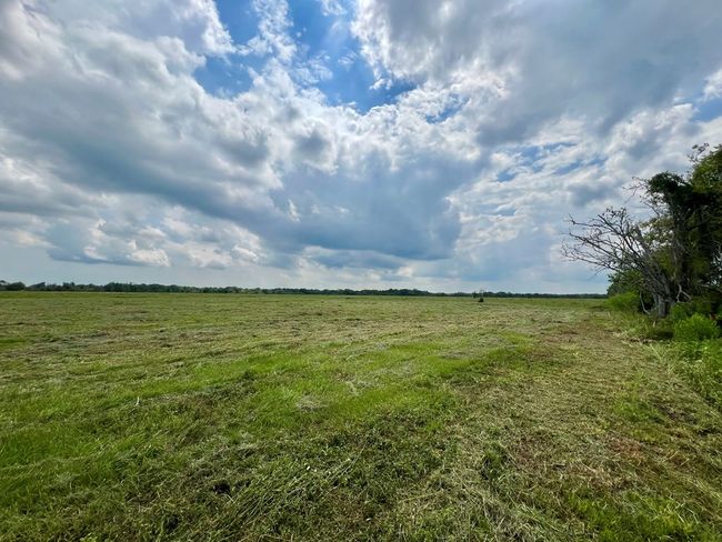 00 Apache Trl, Home with 0 bedrooms, 0 bathrooms and null parking in Angleton TX | Image 16