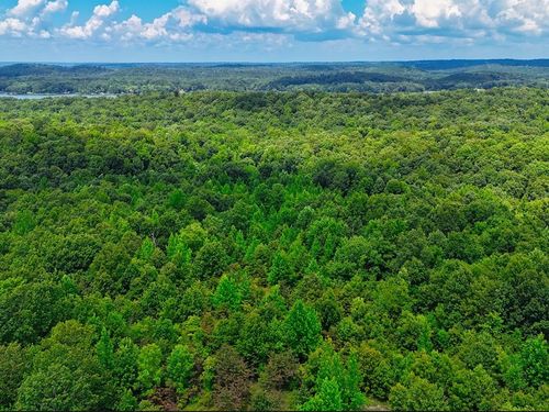 0 Leatherwood Trl, Stewart, TN, 37175 | Card Image
