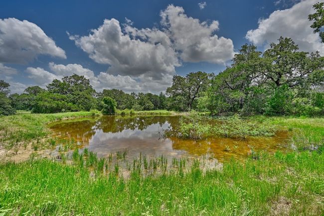 Water​​‌​​​​‌​​‌‌​‌‌​​​‌‌​​‌‌​‌​​​​​‌ view | Image 26