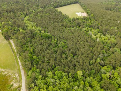 TBD County Road 451, Kirbyville, TX, 75956 | Card Image