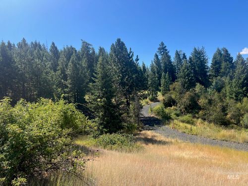 993 Norton Knob Ln, Orofino, ID, 83544 | Card Image