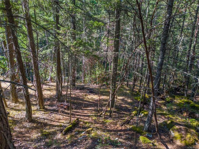 3705 Keel Cres, Home with 0 bedrooms, 0 bathrooms and 2 parking in Pender Island BC | Image 6