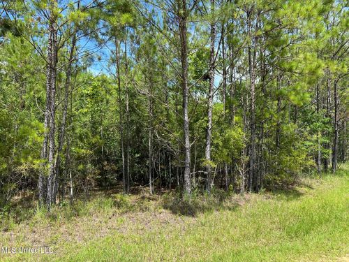 Lot 111 River Place Dr, Vancleave, MS, 39565 | Card Image
