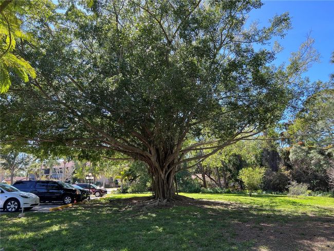 1 - 5617 Ashton Lake Dr, Condo with 2 bedrooms, 2 bathrooms and null parking in Sarasota FL | Image 29