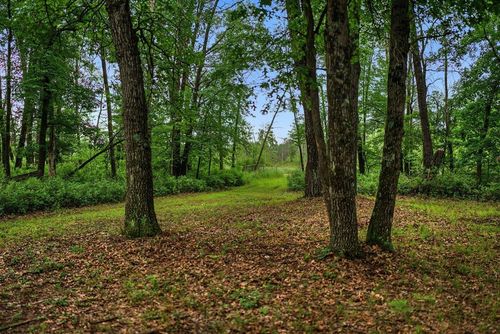 20 Acres Badger Avenue, Rome, WI, 54457 | Card Image