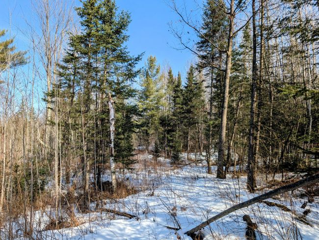 N12912 State Highway 13, House other with 2 bedrooms, 1 bathrooms and null parking in Fifield WI | Image 32