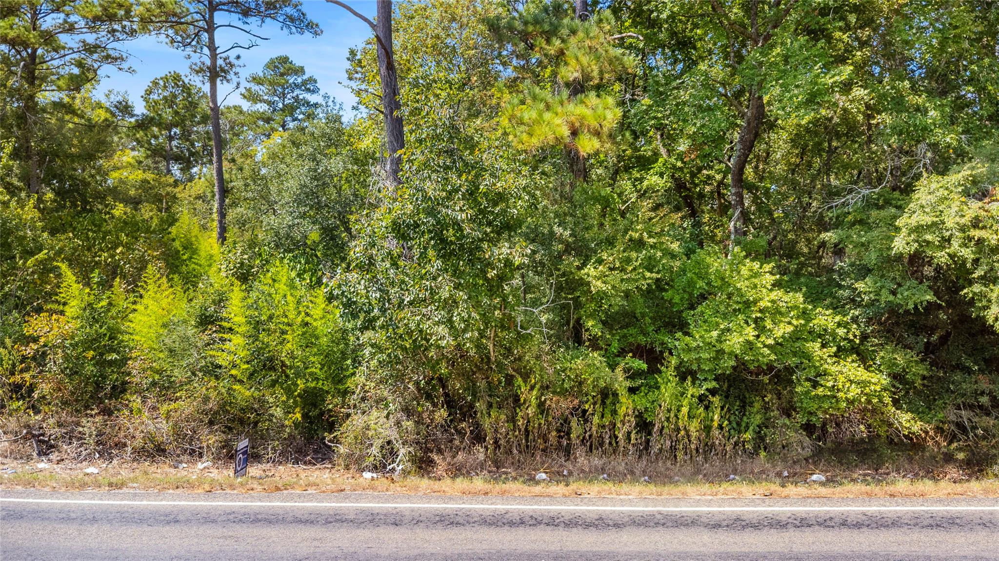 Land in Huntsville 4
