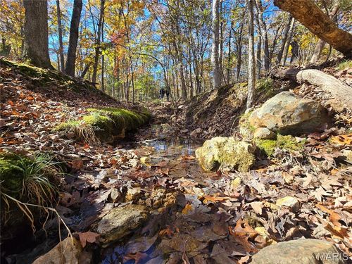 0 Railroad Ln, Doe Run, MO, 63637 | Card Image