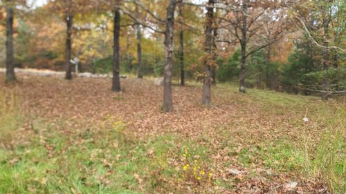 79 Hidden Valley Dr, Conway, AR, 72034-8346 | Card Image