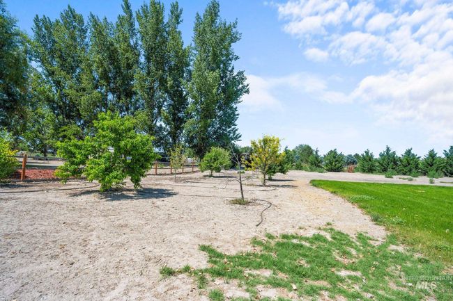 View of yard featuring a rural view | Image 36