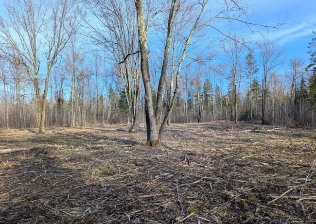 00 Cth X, Home with 0 bedrooms, 0 bathrooms and null parking in PRENTICE WI | Image 27