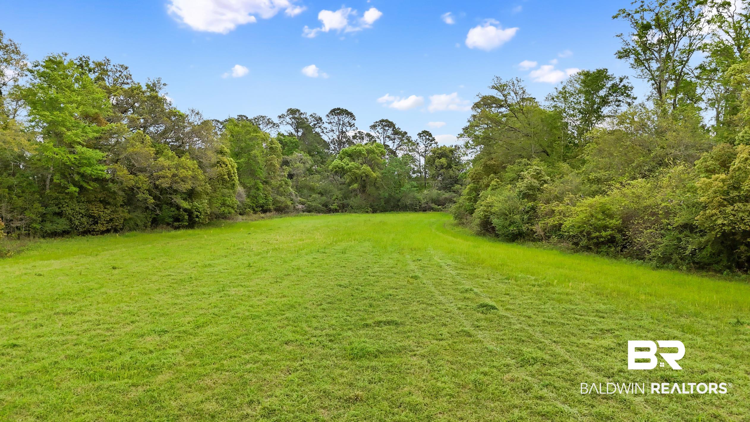 Land in Summerdale 5