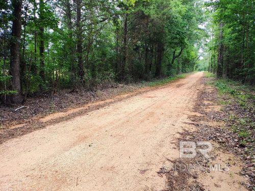 0000000 County Road 69, Coffeeville, AL, 36524 | Card Image