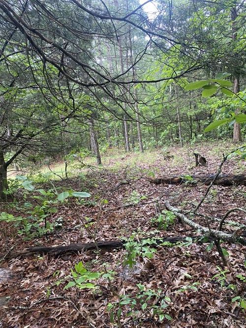 0 Susan Dr, Sainte Genevieve, MO, 63670 | Card Image