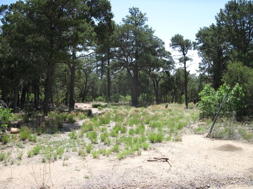 7 Blackbird Rd, Tijeras, NM, 87059-8152 | Card Image