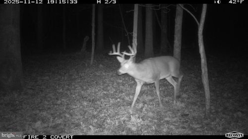 3536 Jr Rannells Rd, POINTS, WV, 25437 | Card Image