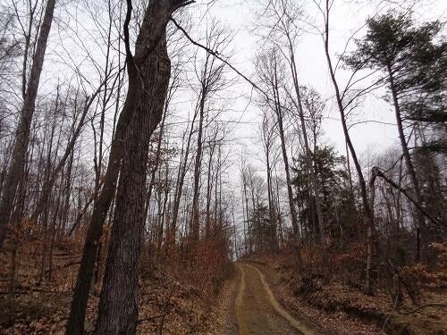 000 Bush Rd, Mahaffey, PA, 15757 | Card Image