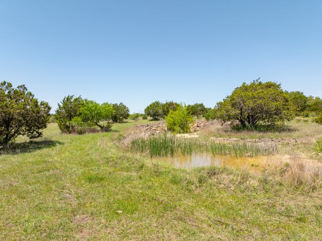 View of nature | Image 14