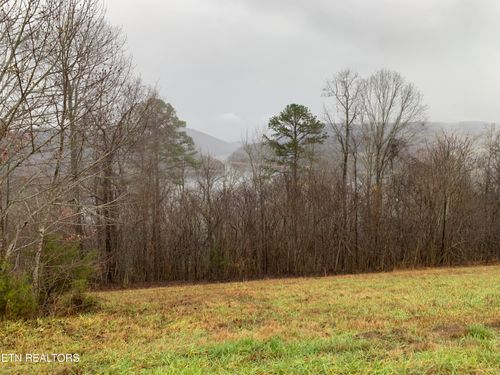321 Sapphire Ct, New Tazewell, TN, 37825 | Card Image