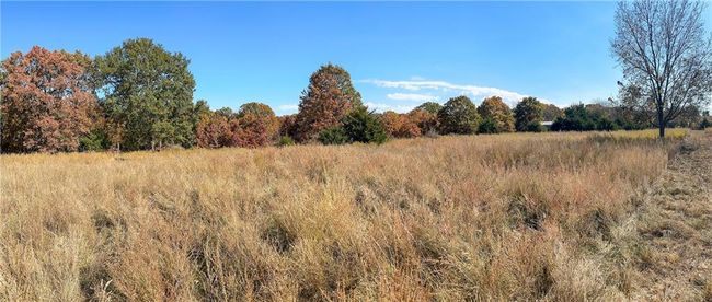 11999 - 11201-11999 Se 700 Rd, Home with 0 bedrooms, 0 bathrooms and null parking in Weaubleau MO | Image 24