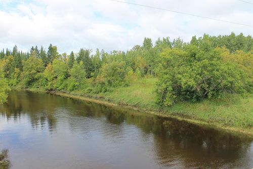 XXX County Road 5, Effie, MN, 56639 | Card Image