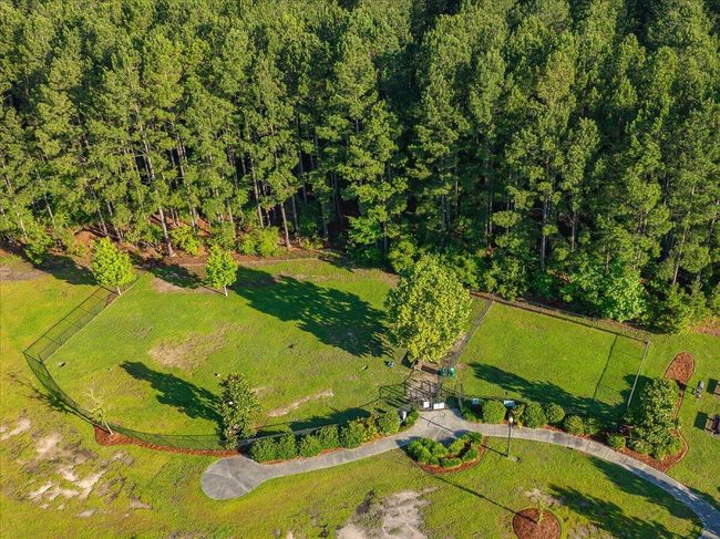 Dog Park | Image 53