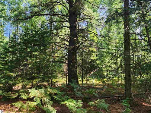 10 Acres Christie Drive, Kalkaska, MI, 49646 | Card Image