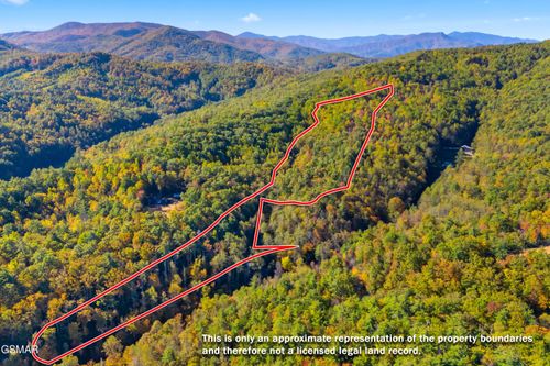 5.37 Acres Reece Hollow Rd, Del Rio, TN, 37727 | Card Image