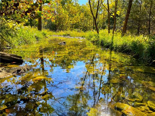 85 State Highway 5, Gainesville, MO, 65655 | Card Image