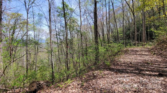 27 - 27 Lacy Fern Rdg, Home with 0 bedrooms, 0 bathrooms and null parking in Sylva NC | Image 11