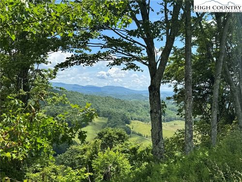 4 Mayito Lane, Mouth of Wilson, VA, 24363 | Card Image